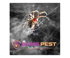 Spider Control Sydney