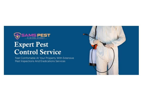 Spider Control Sydney - 3/7