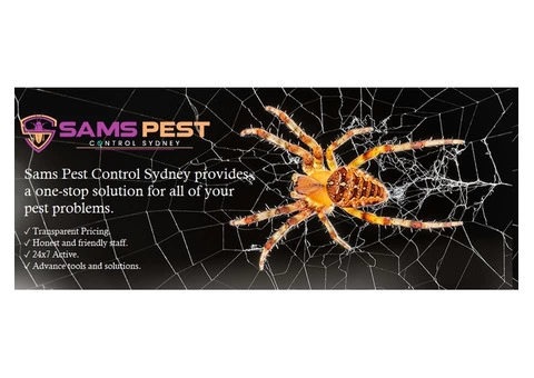 Spider Control Sydney - 7/7