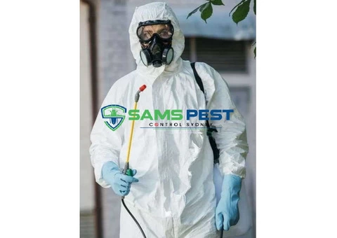 Termite Control Sydney - 4/7