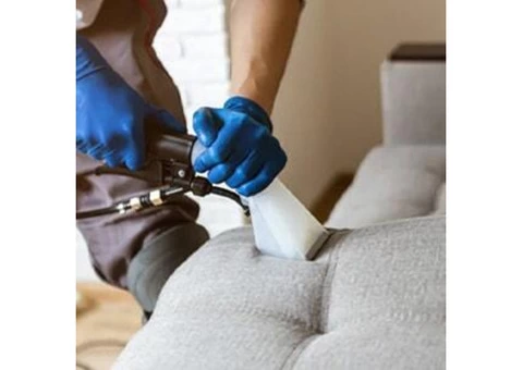 CBD Couch Cleaning Canberra - 3/3