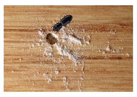 Borer Control Melbourne - 3/8