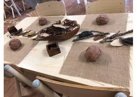 Early Childhood Education Program Across Thirlmere