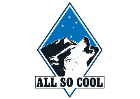 Ice Machines Brisbane | All So Cool