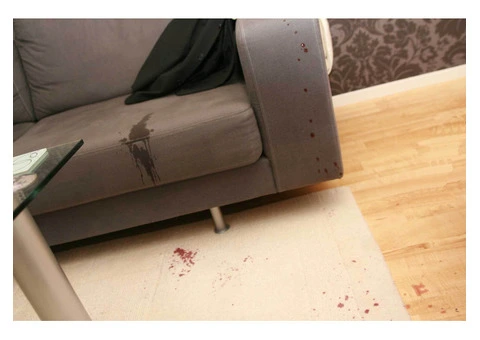 Karls Couch Cleaning Adelaide - 10/10