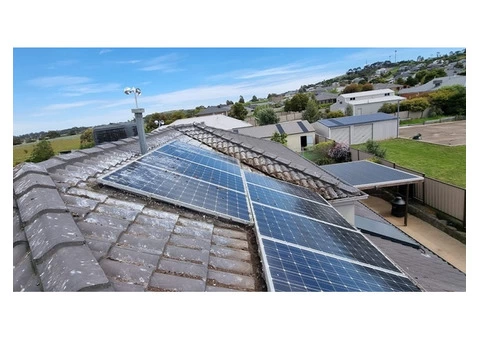 Solar Panel Bird Proofing To Make Your Panels Glow Forever