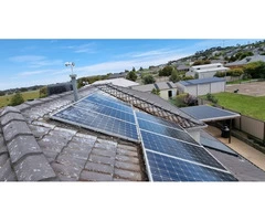 Solar Panel Bird Proofing To Make Your Panels Glow Forever