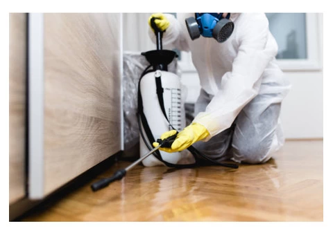 Professional Pest Cantrol Services in Maldon-Excel Pest Cantrol