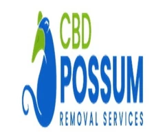 Possum Removal Brisbane