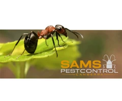 Ant Control Canberra