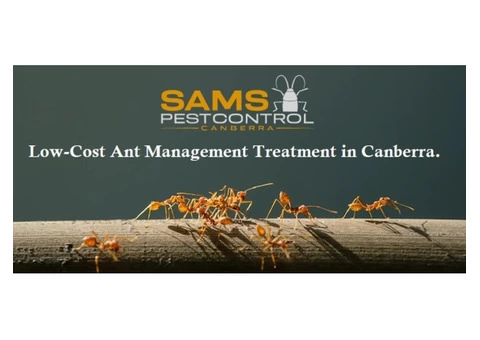 Ant Control Canberra - 4/6