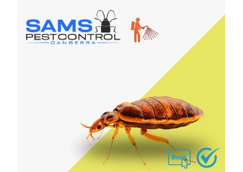 Bed Bugs Control Canberra - 1/7