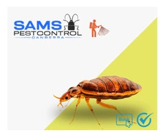 Bed Bugs Control Canberra