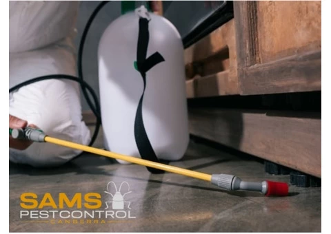 Bed Bugs Control Canberra - 5/7