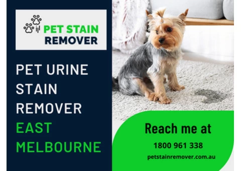 Best Carpet Pet Stain Remover East Melbourne | Pet Stain Remover | 1800961338 - 1/6