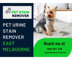 Best Carpet Pet Stain Remover East Melbourne | Pet Stain Remover | 1800961338