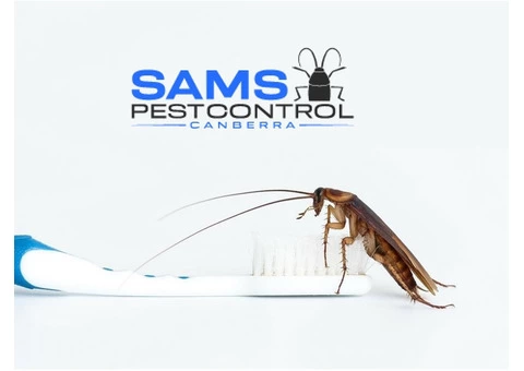 Cockroach Control Canberra - 1/8