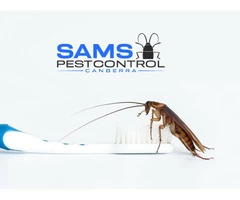 Cockroach Control Canberra