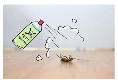 Cockroach Control Canberra - 5/8