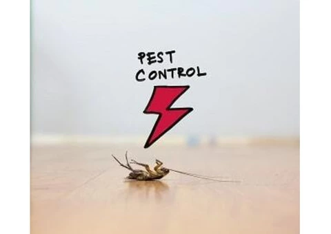 Cockroach Control Canberra - 6/8