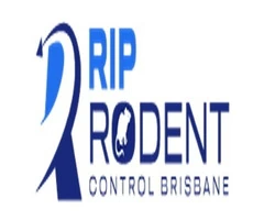 Rodent Control Brisbane