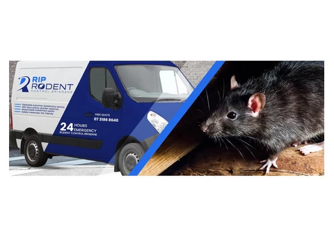 Rodent Control Brisbane - 4/6