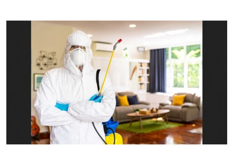 Commercial Pest Control Brisbane
