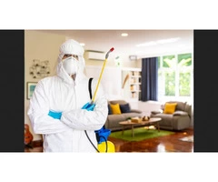 Commercial Pest Control Brisbane