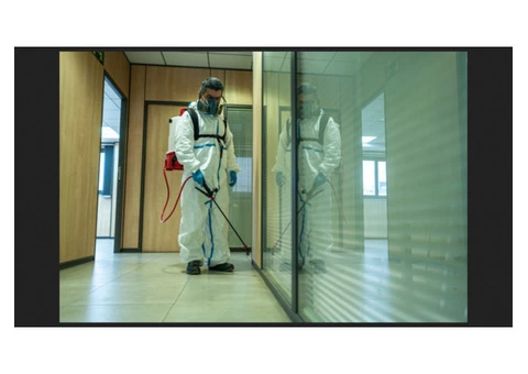 Pest Control Brisbane