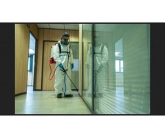 Pest Control Brisbane