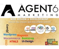 Build attractive websites with Agent 6! Get now