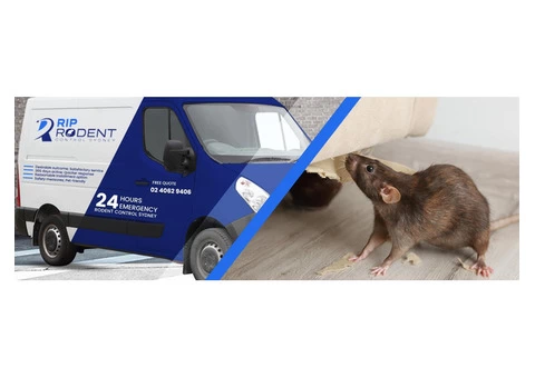 Rodent Control Sydney - 4/5