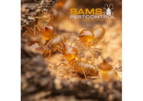 Termite Control Canberra - 1/8
