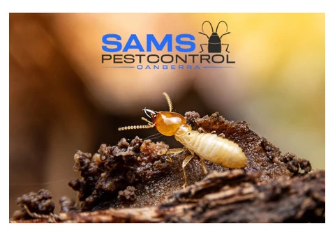 Termite Control Canberra - 2/8