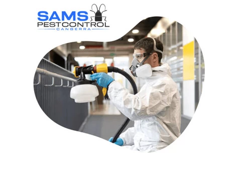 Termite Control Canberra - 4/8