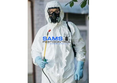 Termite Control Canberra - 7/8