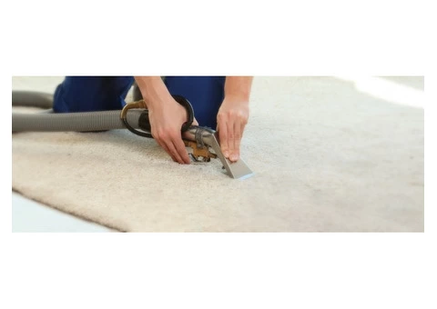 Professional Carpet Stain Removal