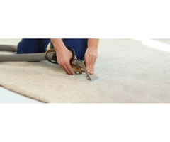 Professional Carpet Stain Removal