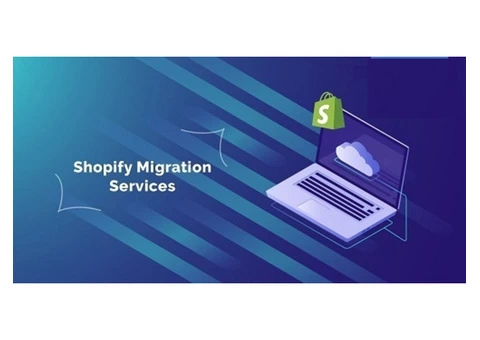 Get proven results with WordPress for Shopify Migration services