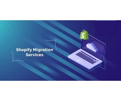 Get proven results with WordPress for Shopify Migration services