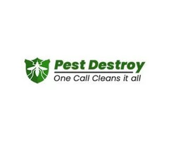 Pest Destroy Pest Control Adelaide