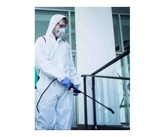 Exit Spider Control Adelaide