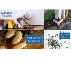 Masters Ant Control Melbourne