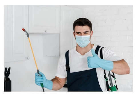 Pest Control Brisbane