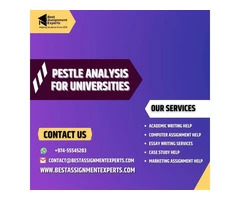 Pestle Analysis For Universities