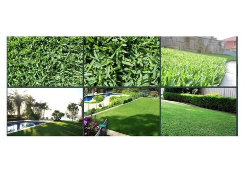 Enjoy Contactless Delivery for Turf Supplies Economically - 6/6