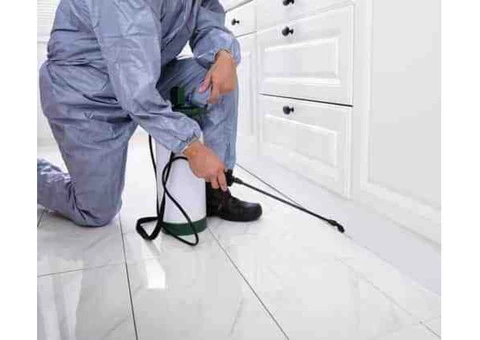 Same Day Pest Control Brisbane