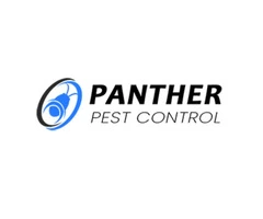 Panther Spider Control Brisbane