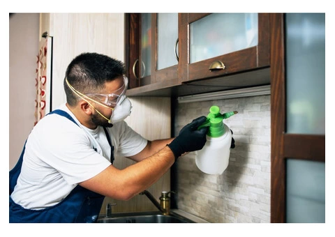 Residential & Commercial Pest Control in Warwick-Excel Pest Control