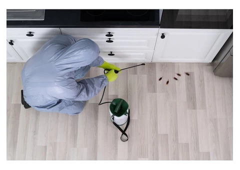 Best Pest Control Services in Maryborough-Prudent Pest Control